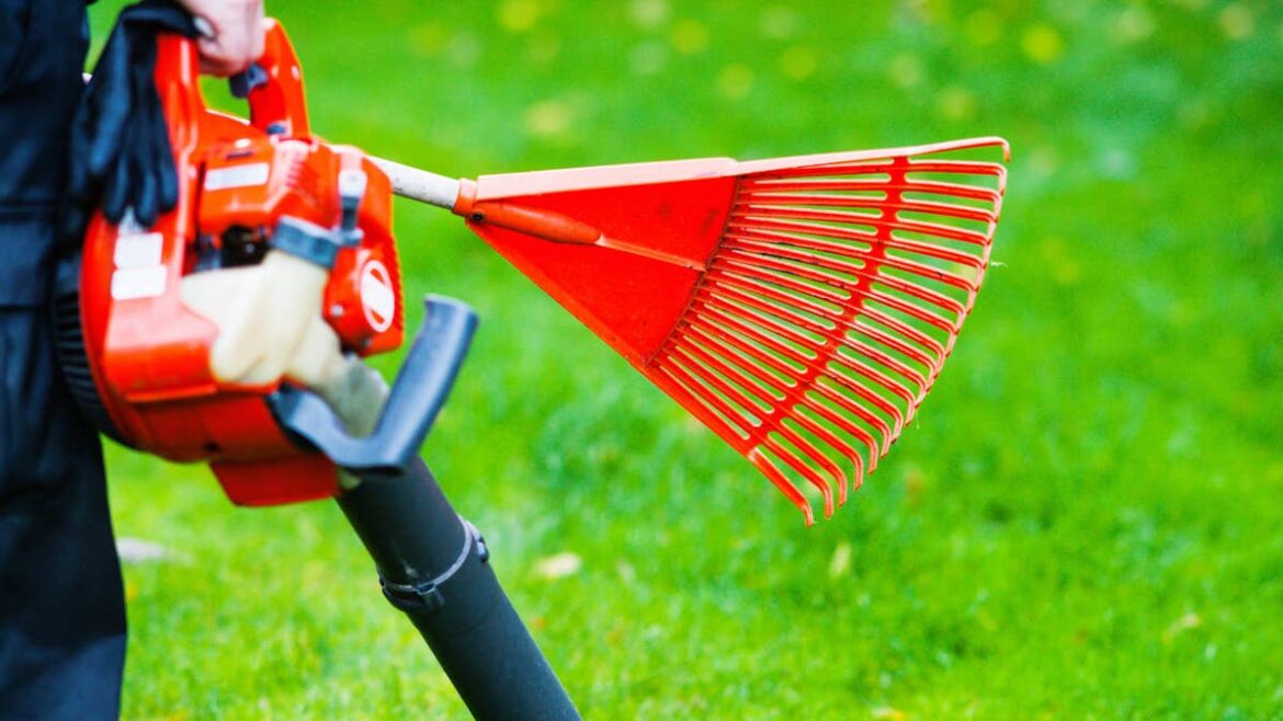 53-year-old lawn and garden giant faces Chapter 11, liquidation